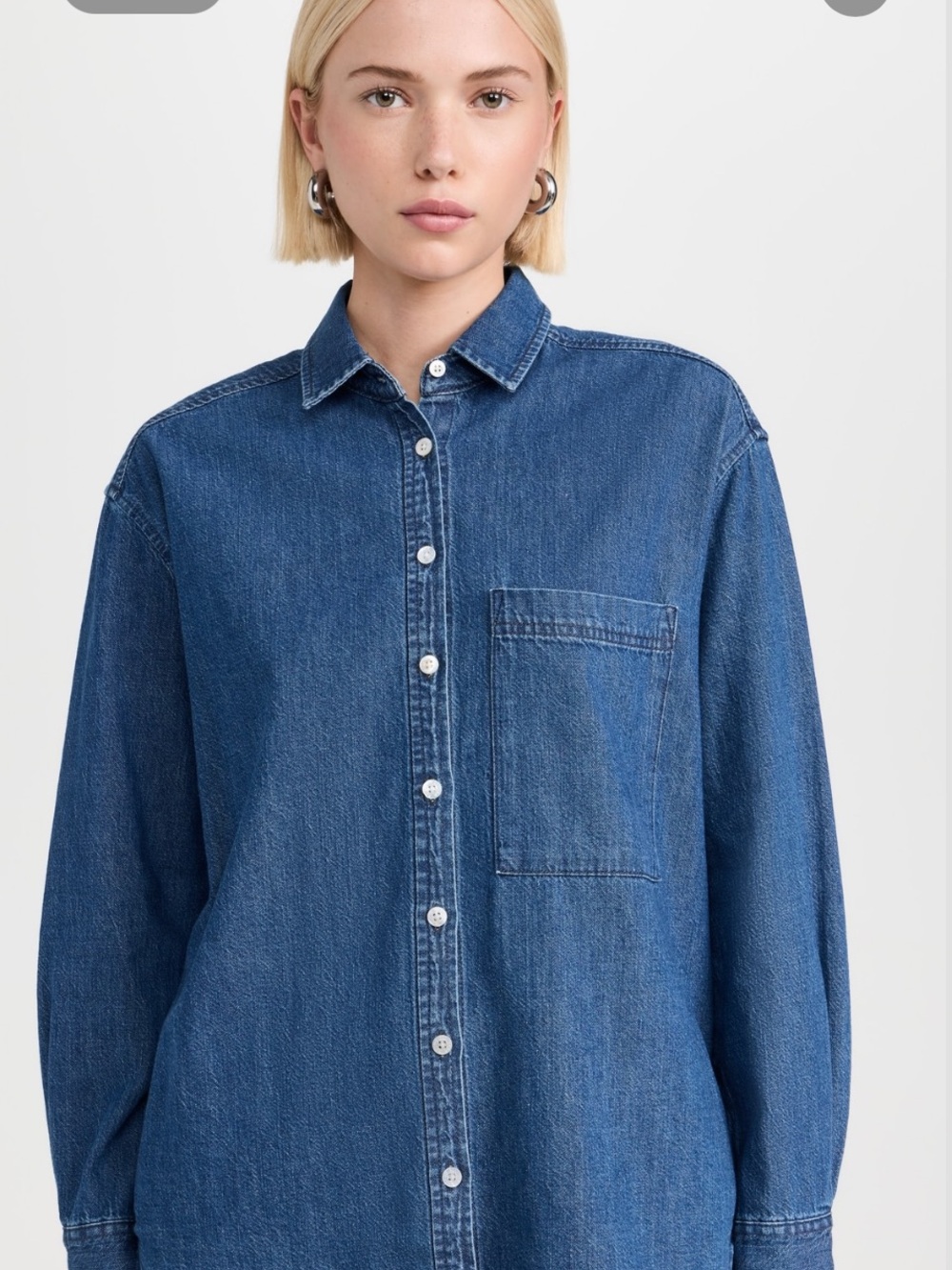 AYR Indigo Denim Button-Down Shirt